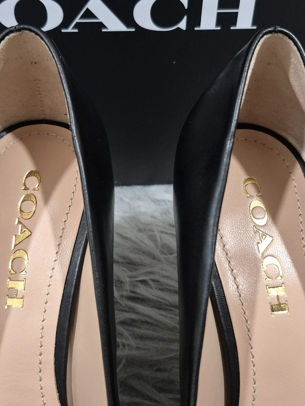 COACH Women's Waverly Leather Pump Pointed-Toe Stud-Trim Size 7B